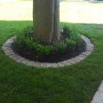 Garden Edging 4