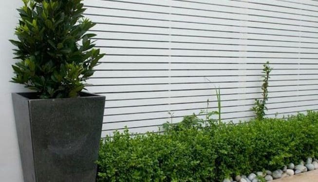 Pressure Treated Wood 2 - Garden Design - Evergreen Landscapes